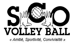 SCO Volley - Angers SCO Volley - Angers
